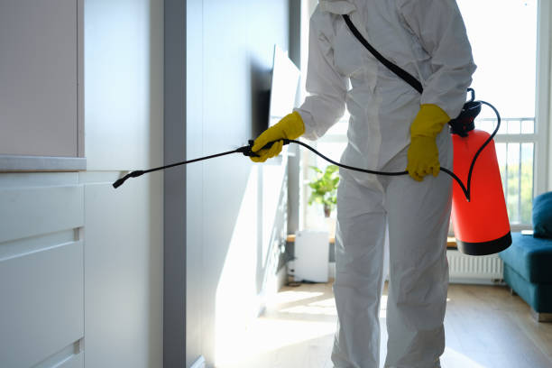 Health and Safety Mold Remediation