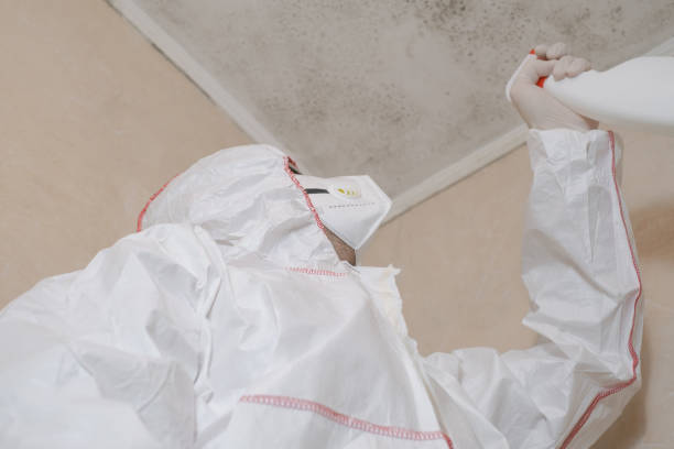 Dumas, AR Mold Remediation Company