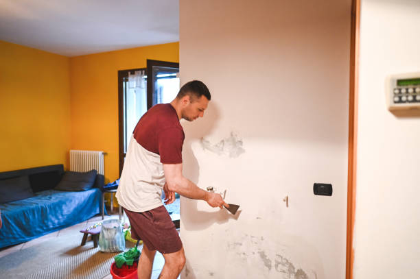 Best DIY Mold Remediation Support Services in Dumas, AR